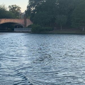 Meet your Posher, Dylan